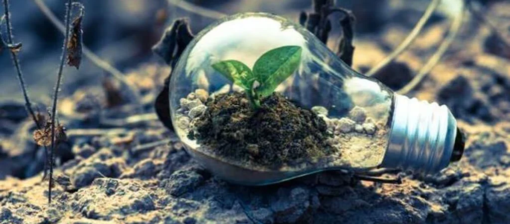 Der Green-IT Guide zur erfolgreichen Energiewende